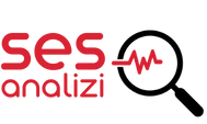 Ses Analizi